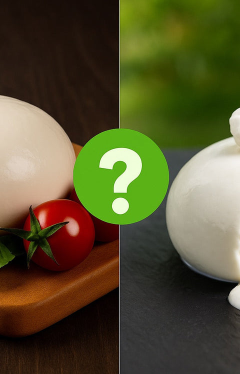 Burrata vs Mozzarella : l’art subtil des fromages italiens