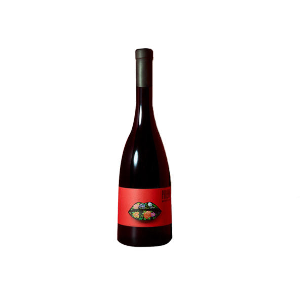 Vin Rouge PHILEMA  Monferrato DOC 2020 0,75L 12.5%
